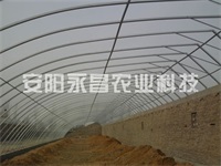 幾字鋼大棚7