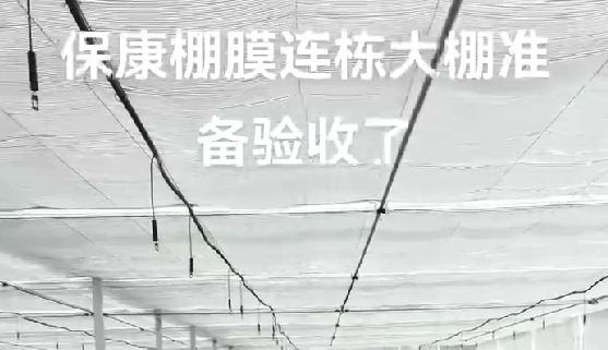 ?？蹬锬みB棟大棚準(zhǔn)備驗(yàn)收